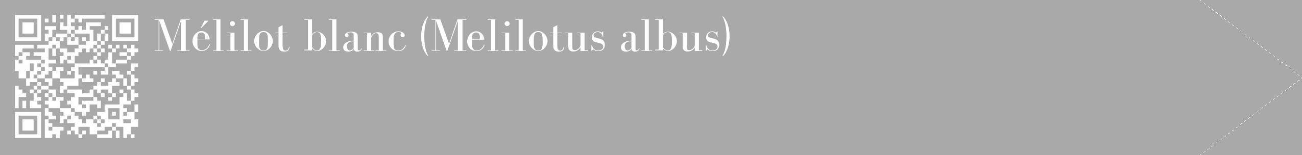 Étiquette de : Melilotus albus - format c - style blanche13_simple_simplebod avec qrcode et comestibilité