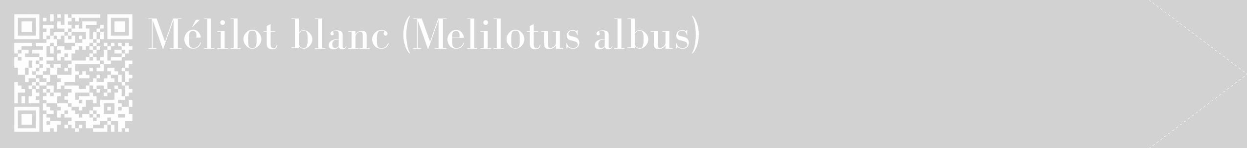 Étiquette de : Melilotus albus - format c - style blanche14_simple_simplebod avec qrcode et comestibilité