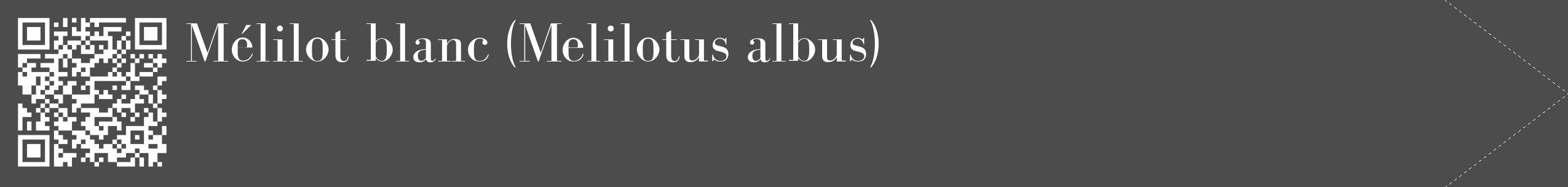 Étiquette de : Melilotus albus - format c - style blanche27_simple_simplebod avec qrcode et comestibilité