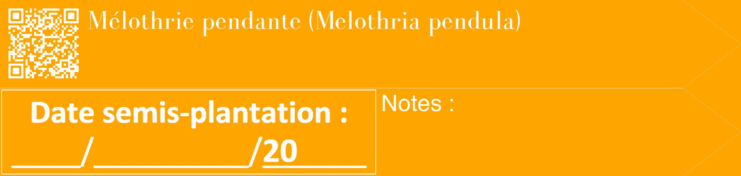 Étiquette de : Melothria pendula - format c - style blanche22_simple_simplebod avec qrcode et comestibilité