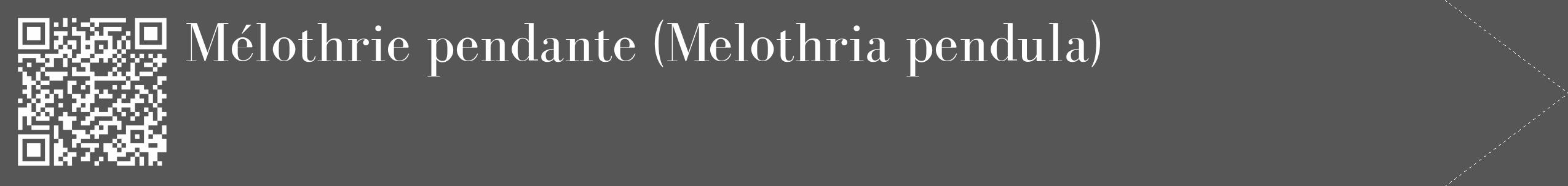Étiquette de : Melothria pendula - format c - style blanche45_simple_simplebod avec qrcode et comestibilité