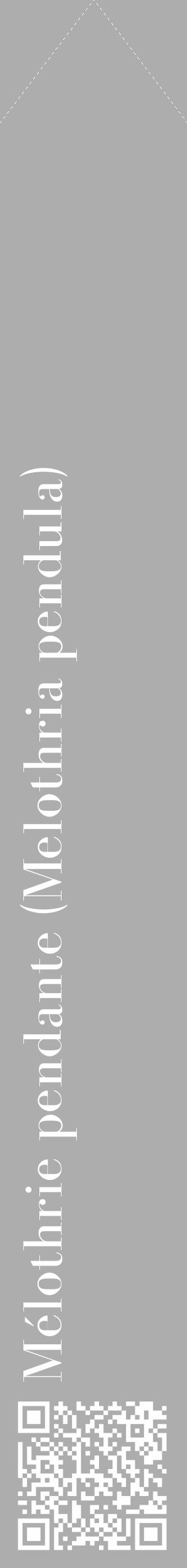 Étiquette de : Melothria pendula - format c - style blanche22_simple_simplebod avec qrcode et comestibilité - position verticale