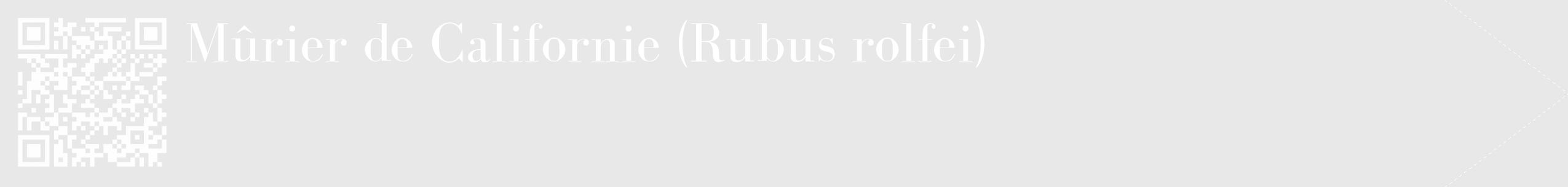 Étiquette de : Rubus rolfei - format c - style blanche55_simple_simplebod avec qrcode et comestibilité