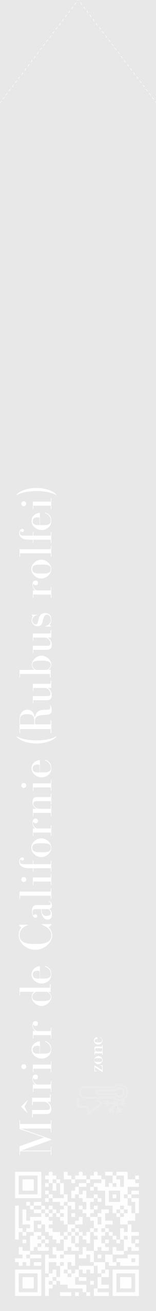 Étiquette de : Rubus rolfei - format c - style blanche55_simple_simplebod avec qrcode et comestibilité - position verticale