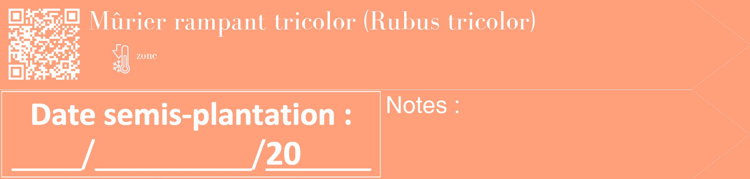 Étiquette de : Rubus tricolor - format c - style blanche39_simple_simplebod avec qrcode et comestibilité