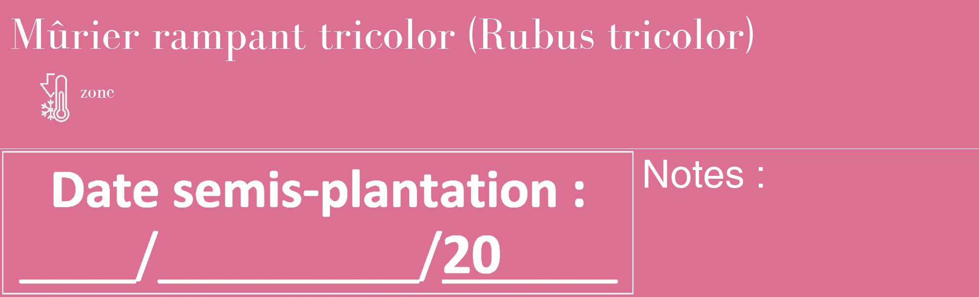 Étiquette de : Rubus tricolor - format c - style blanche44_basique_basiquebod avec comestibilité