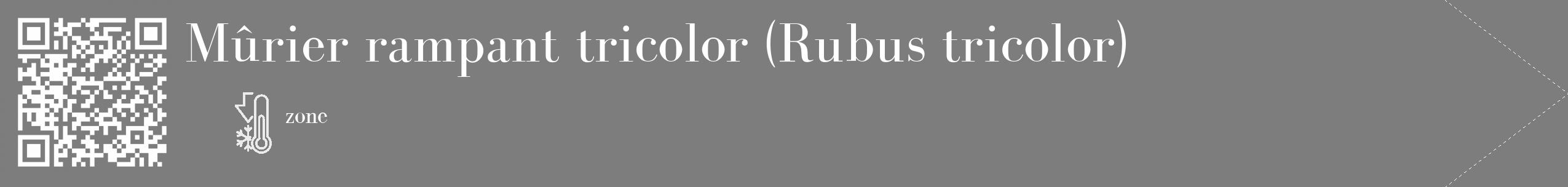 Étiquette de : Rubus tricolor - format c - style blanche35_simple_simplebod avec qrcode et comestibilité