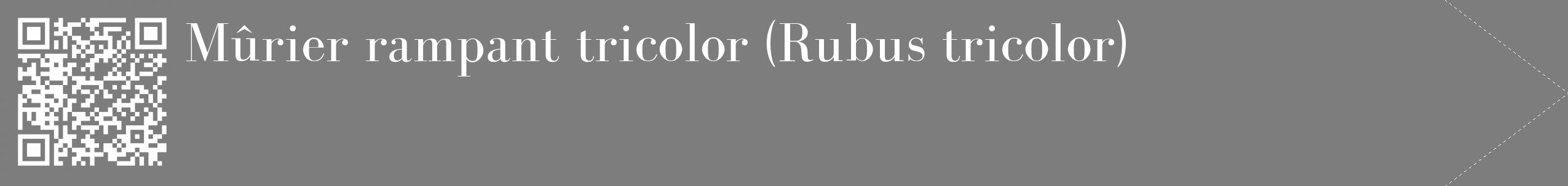 Étiquette de : Rubus tricolor - format c - style blanche35_simple_simplebod avec qrcode et comestibilité