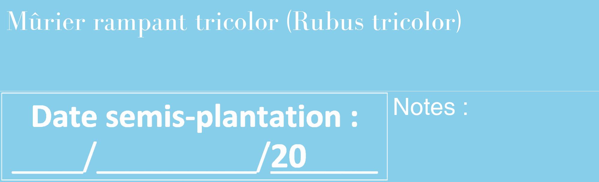 Étiquette de : Rubus tricolor - format c - style blanche1_basique_basiquebod avec comestibilité
