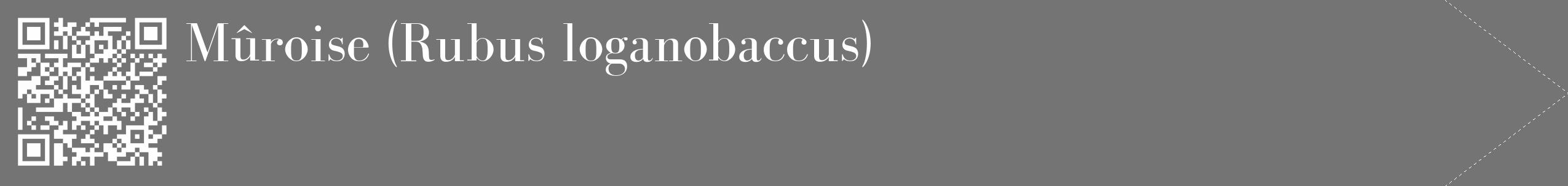 Étiquette de : Rubus loganobaccus - format c - style blanche26_simple_simplebod avec qrcode et comestibilité