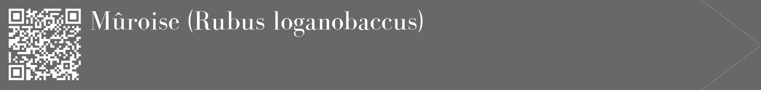 Étiquette de : Rubus loganobaccus - format c - style blanche43_simple_simplebod avec qrcode et comestibilité