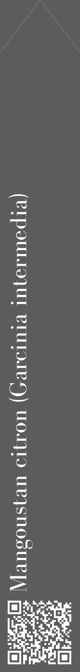 Étiquette de : Garcinia intermedia - format c - style blanche49_simple_simplebod avec qrcode et comestibilité - position verticale