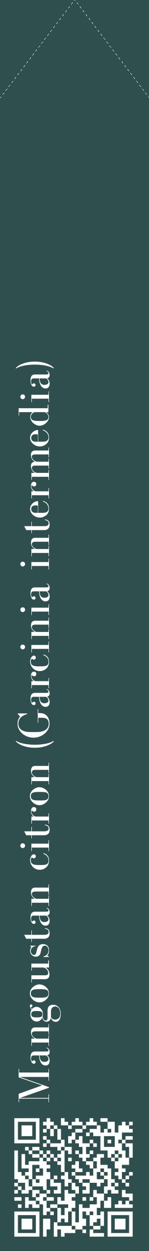 Étiquette de : Garcinia intermedia - format c - style blanche58_simplebod avec qrcode et comestibilité