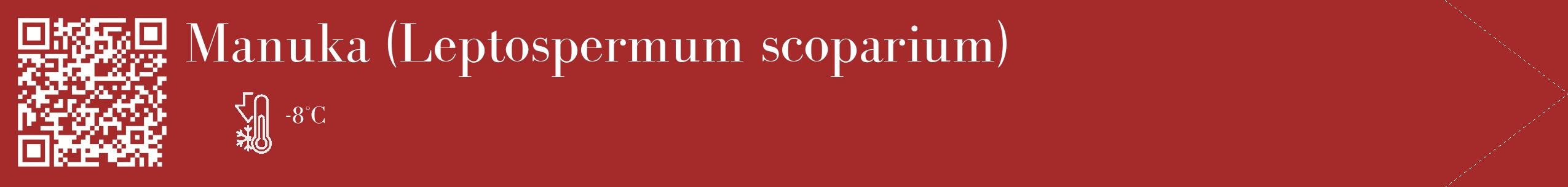 Étiquette de : Leptospermum scoparium - format c - style blanche33_simple_simplebod avec qrcode et comestibilité