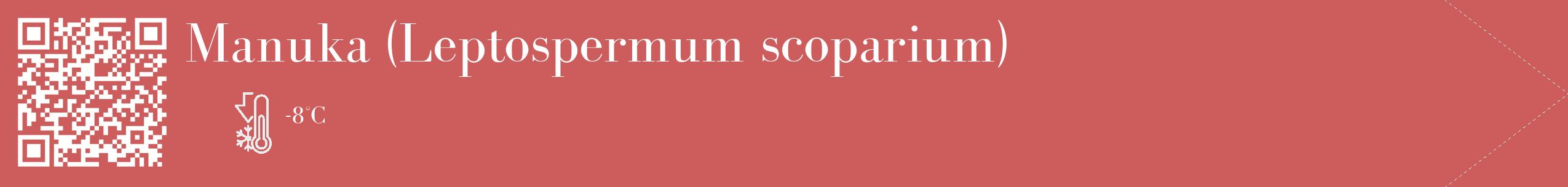 Étiquette de : Leptospermum scoparium - format c - style blanche35_simple_simplebod avec qrcode et comestibilité