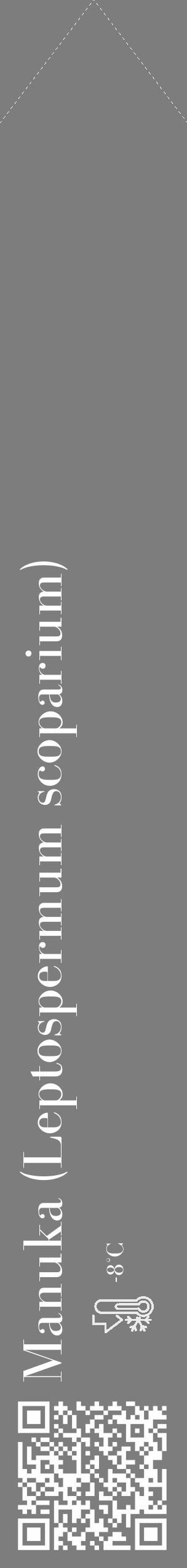 Étiquette de : Leptospermum scoparium - format c - style blanche35_simple_simplebod avec qrcode et comestibilité - position verticale