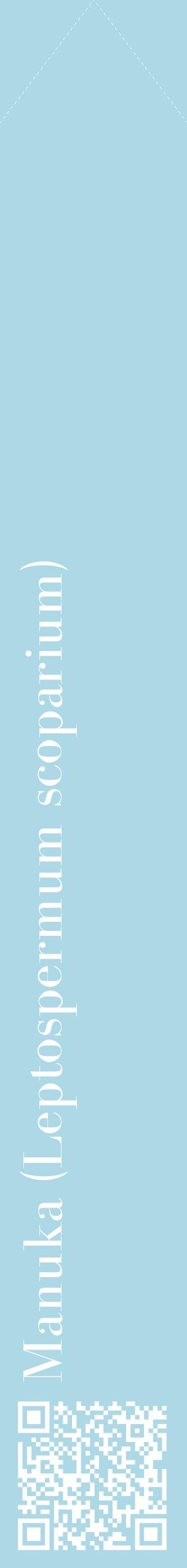 Étiquette de : Leptospermum scoparium - format c - style blanche0_simplebod avec qrcode et comestibilité