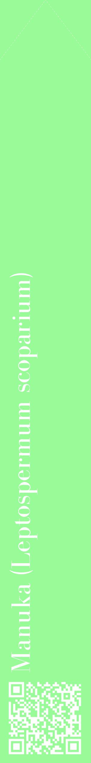 Étiquette de : Leptospermum scoparium - format c - style blanche14_simplebod avec qrcode et comestibilité