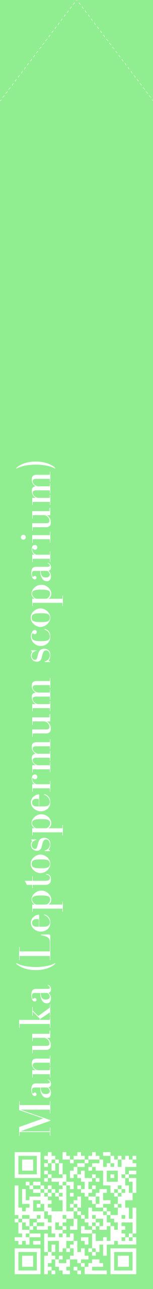 Étiquette de : Leptospermum scoparium - format c - style blanche15_simplebod avec qrcode et comestibilité