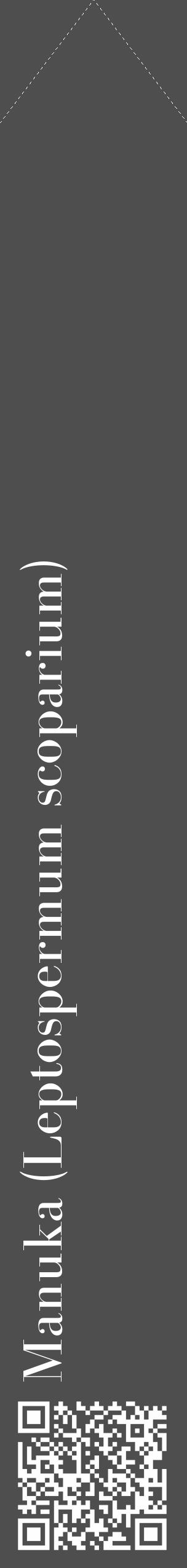 Étiquette de : Leptospermum scoparium - format c - style blanche33_simple_simplebod avec qrcode et comestibilité - position verticale