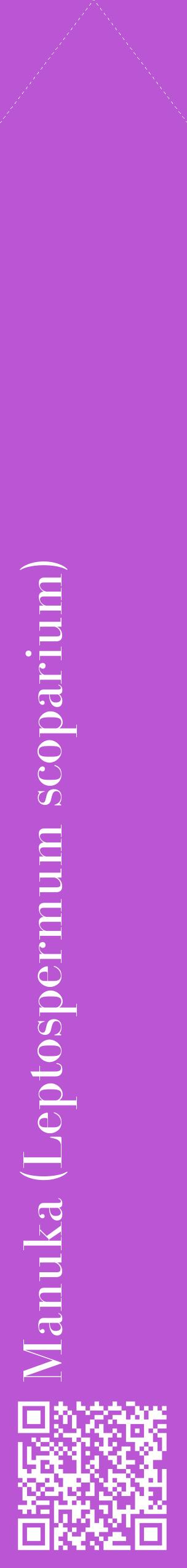 Étiquette de : Leptospermum scoparium - format c - style blanche50_simplebod avec qrcode et comestibilité