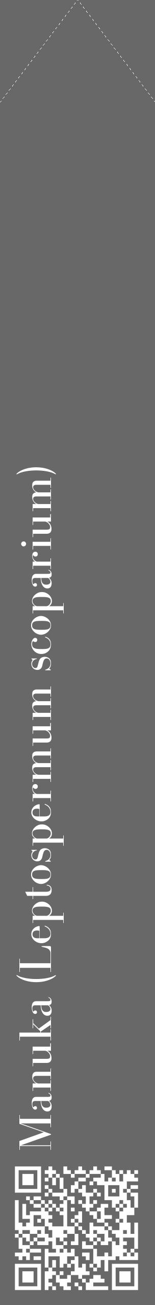 Étiquette de : Leptospermum scoparium - format c - style blanche6_simple_simplebod avec qrcode et comestibilité - position verticale