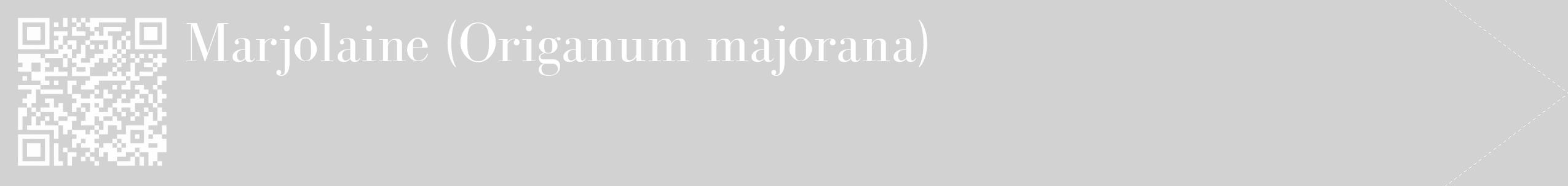 Étiquette de : Origanum majorana - format c - style blanche14_simple_simplebod avec qrcode et comestibilité