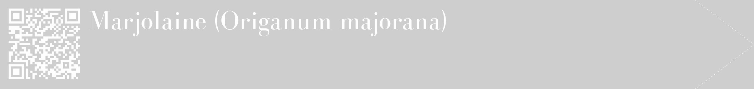 Étiquette de : Origanum majorana - format c - style blanche17_simple_simplebod avec qrcode et comestibilité