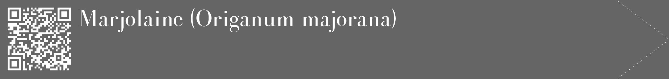Étiquette de : Origanum majorana - format c - style blanche32_simple_simplebod avec qrcode et comestibilité