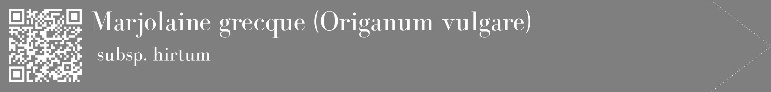 Étiquette de : Origanum vulgare subsp. hirtum - format c - style blanche31_simple_simplebod avec qrcode et comestibilité