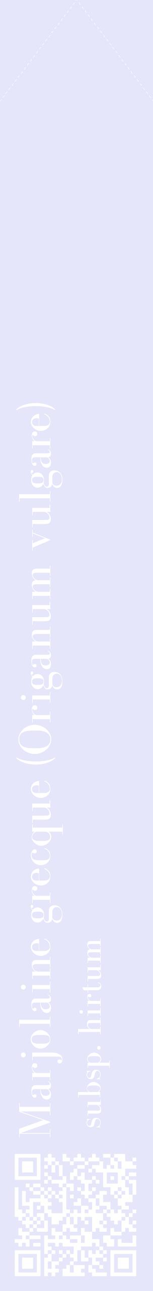 Étiquette de : Origanum vulgare subsp. hirtum - format c - style blanche55_simplebod avec qrcode et comestibilité