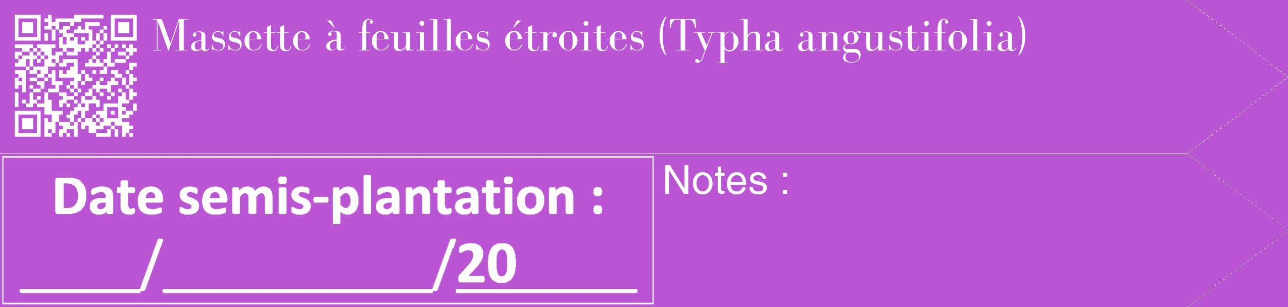 Étiquette de : Typha angustifolia - format c - style blanche50_simple_simplebod avec qrcode et comestibilité