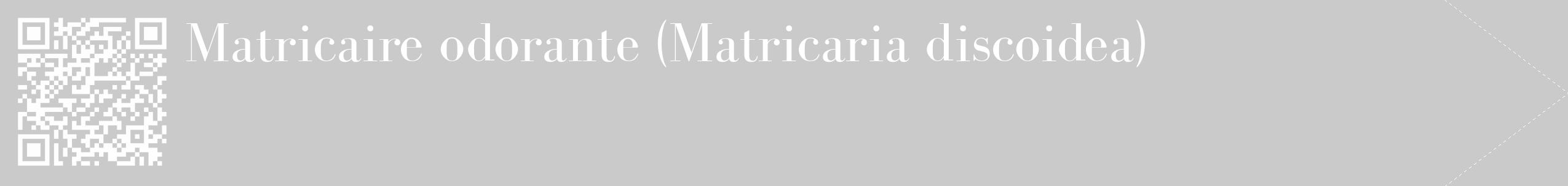 Étiquette de : Matricaria discoidea - format c - style blanche21_simple_simplebod avec qrcode et comestibilité