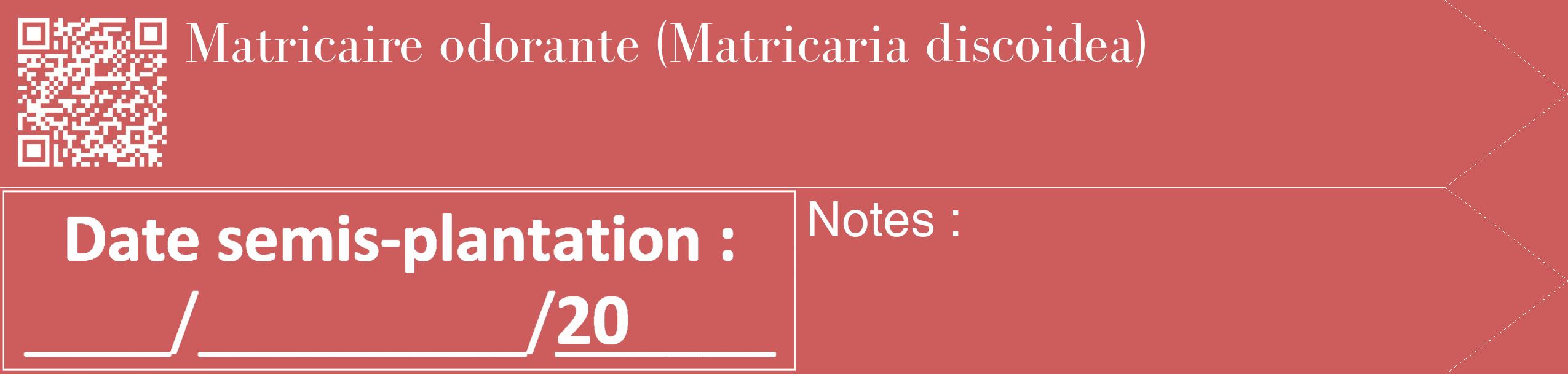 Étiquette de : Matricaria discoidea - format c - style blanche35_simple_simplebod avec qrcode et comestibilité