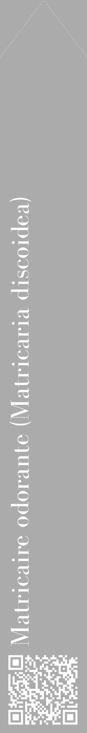 Étiquette de : Matricaria discoidea - format c - style blanche37_simple_simplebod avec qrcode et comestibilité - position verticale
