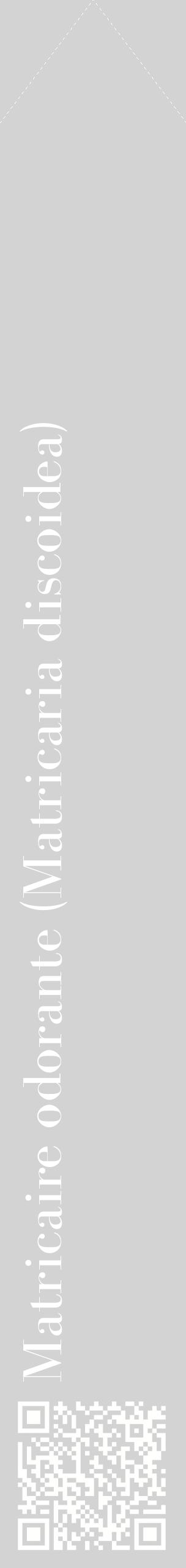 Étiquette de : Matricaria discoidea - format c - style blanche56_simplebod avec qrcode et comestibilité