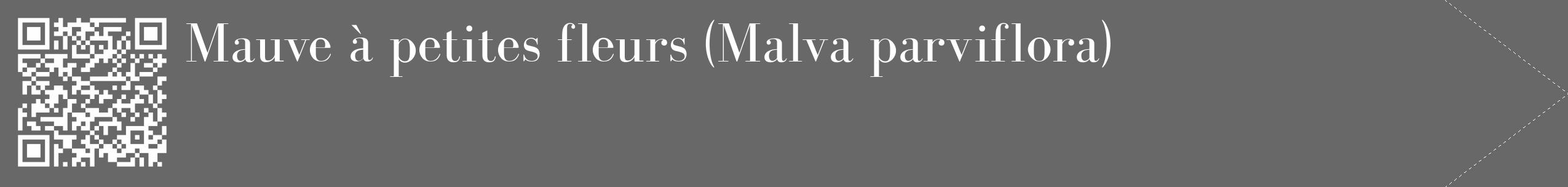 Étiquette de : Malva parviflora - format c - style blanche6_simple_simplebod avec qrcode et comestibilité