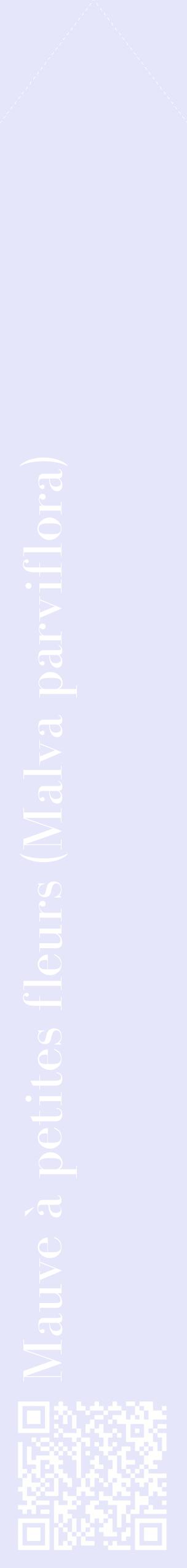 Étiquette de : Malva parviflora - format c - style blanche55_simplebod avec qrcode et comestibilité