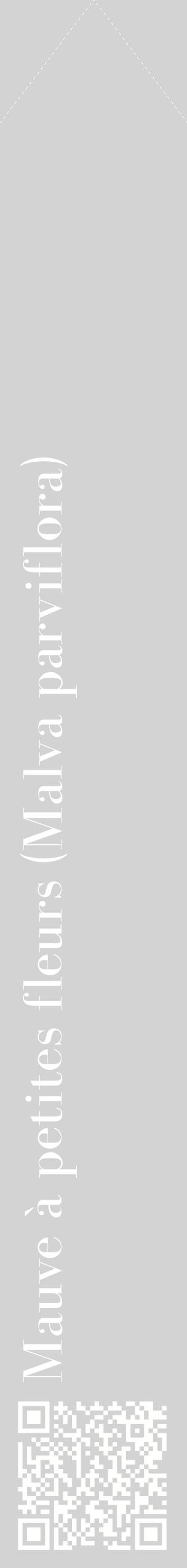 Étiquette de : Malva parviflora - format c - style blanche56_simplebod avec qrcode et comestibilité