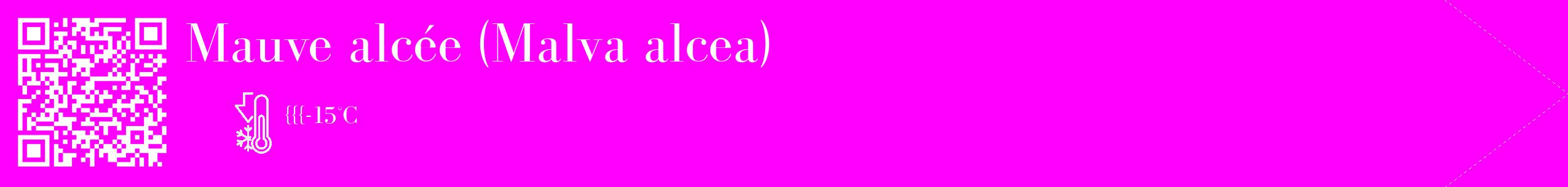 Étiquette de : Malva alcea - format c - style blanche51_simple_simplebod avec qrcode et comestibilité