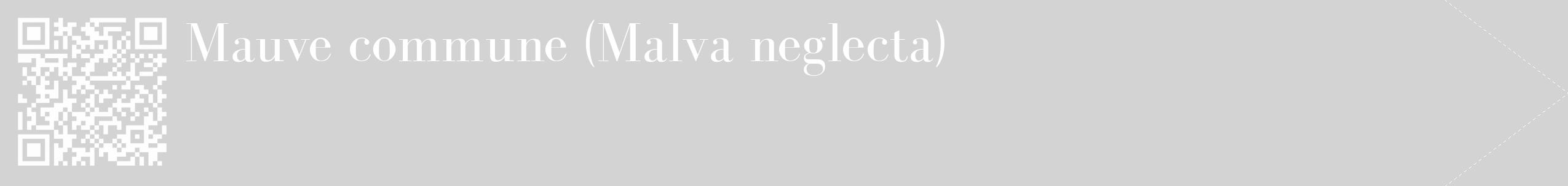 Étiquette de : Malva neglecta - format c - style blanche56_simple_simplebod avec qrcode et comestibilité