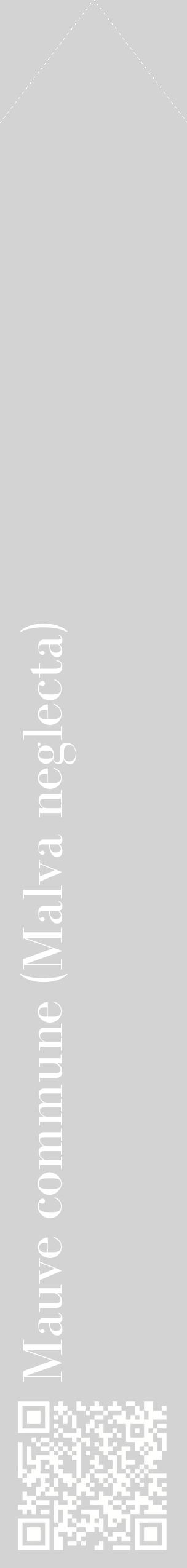Étiquette de : Malva neglecta - format c - style blanche56_simplebod avec qrcode et comestibilité