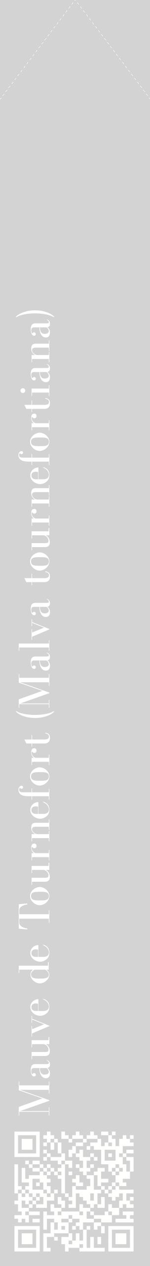 Étiquette de : Malva tournefortiana - format c - style blanche56_simple_simplebod avec qrcode et comestibilité - position verticale