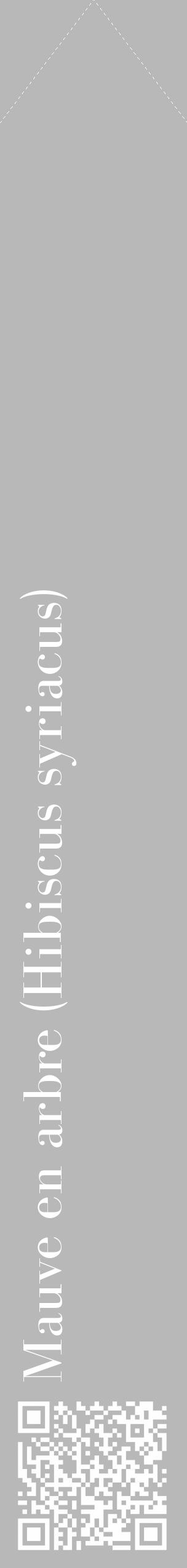 Étiquette de : Hibiscus syriacus - format c - style blanche39_simple_simplebod avec qrcode et comestibilité - position verticale
