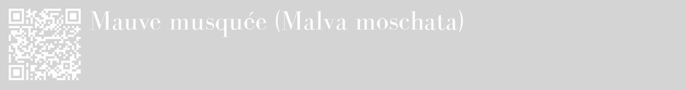 Étiquette de : Malva moschata - format c - style blanche40_basique_basiquebod avec qrcode et comestibilité