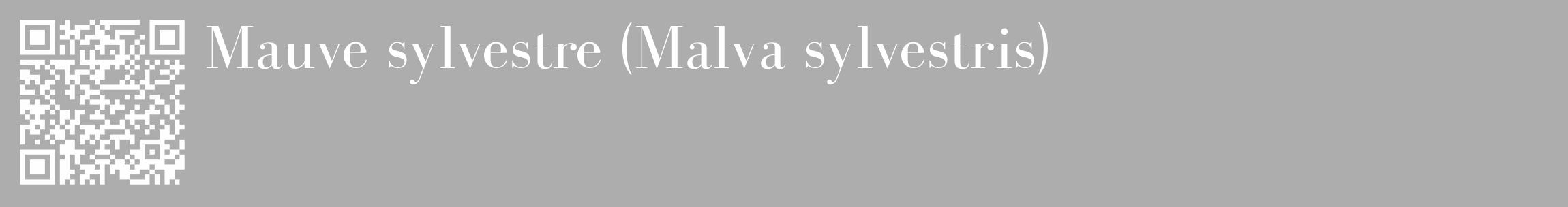 Étiquette de : Malva sylvestris - format c - style blanche22_basique_basiquebod avec qrcode et comestibilité