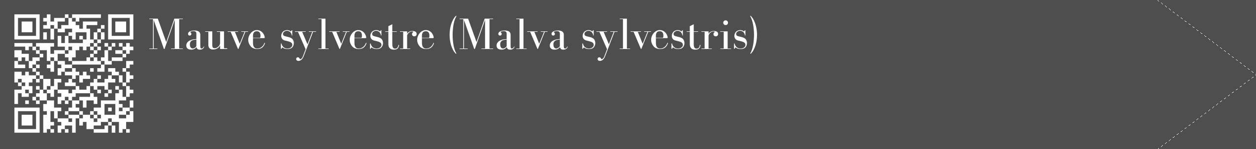 Étiquette de : Malva sylvestris - format c - style blanche33_simple_simplebod avec qrcode et comestibilité