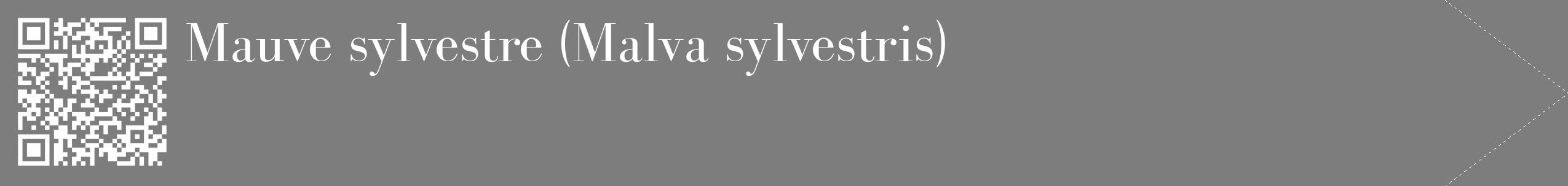 Étiquette de : Malva sylvestris - format c - style blanche35_simple_simplebod avec qrcode et comestibilité