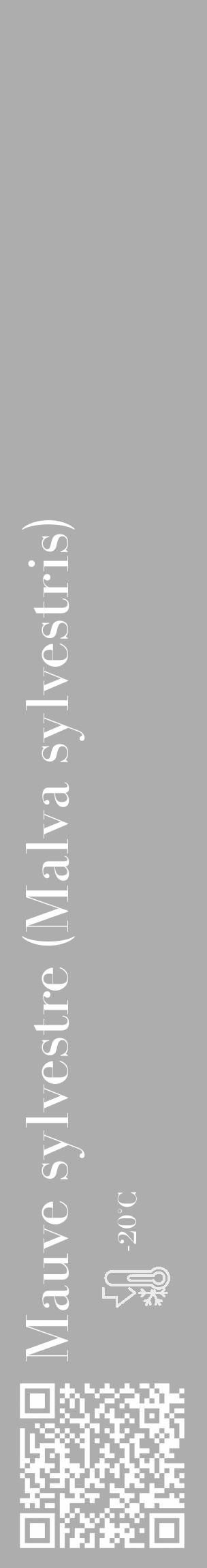 Étiquette de : Malva sylvestris - format c - style blanche22_basique_basiquebod avec qrcode et comestibilité - position verticale
