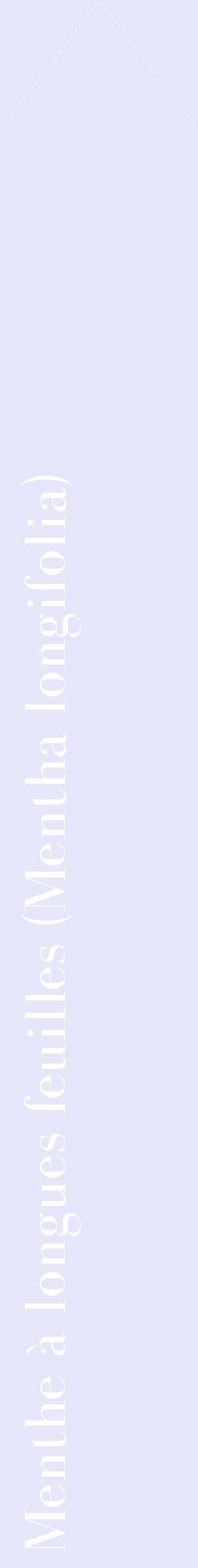 Étiquette de : Mentha longifolia - format c - style blanche55_simplebod avec comestibilité